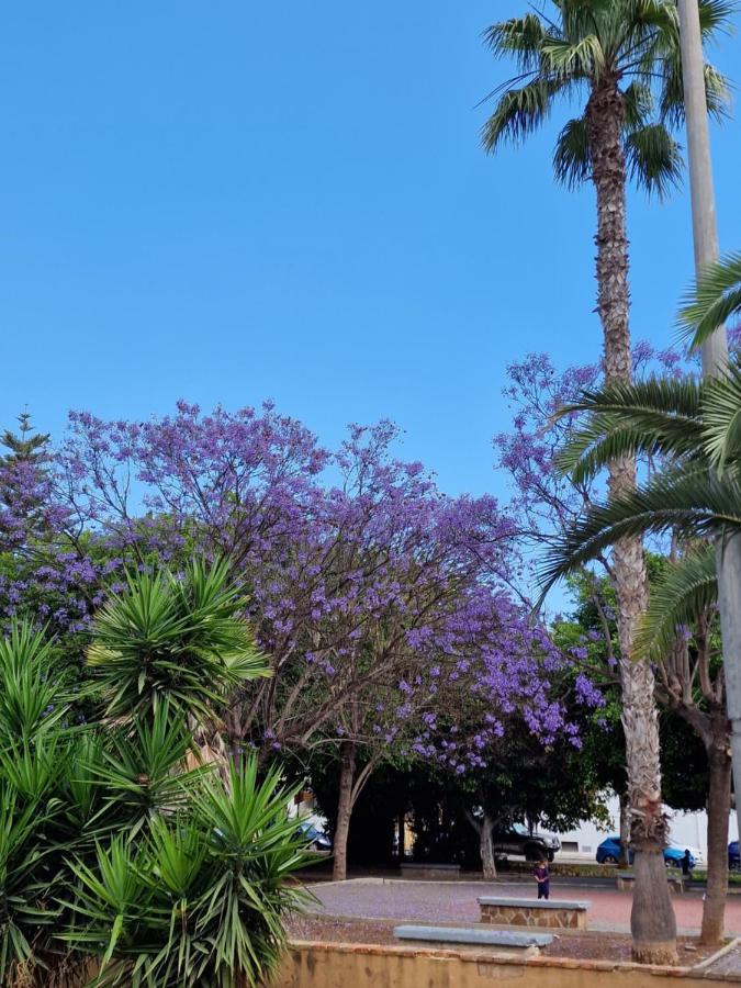 "Vero Vijola" In Torrevieja Exterior foto